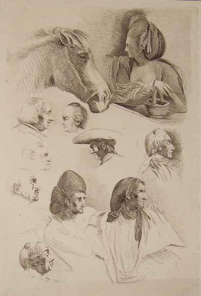 Studies of Human and a horse's face